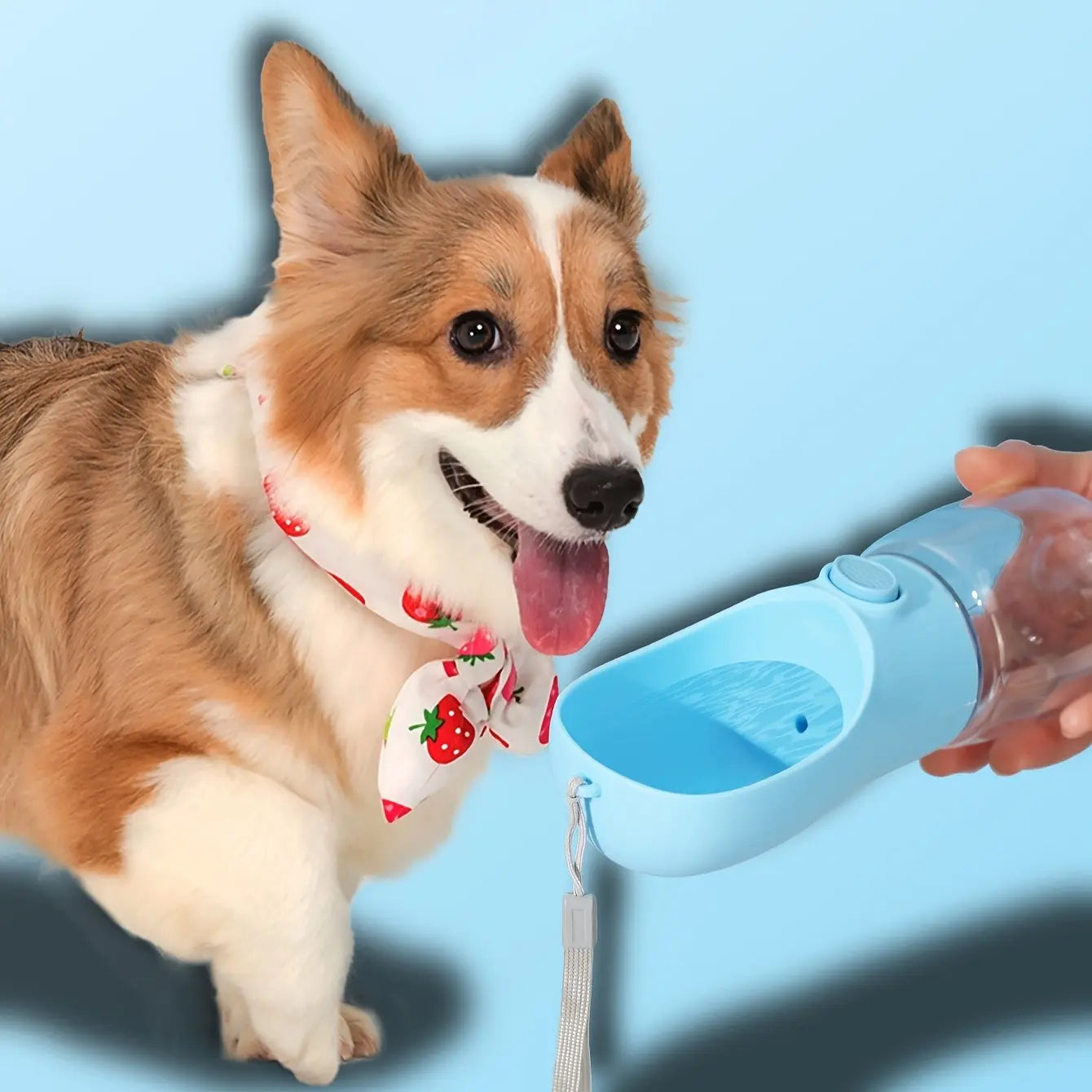 Portable Dog Water Bottle, Pet Travel Cup, Easy Feeding and Drinking, 350ML/500ML Capacity, Plastic Portable Water Bottle