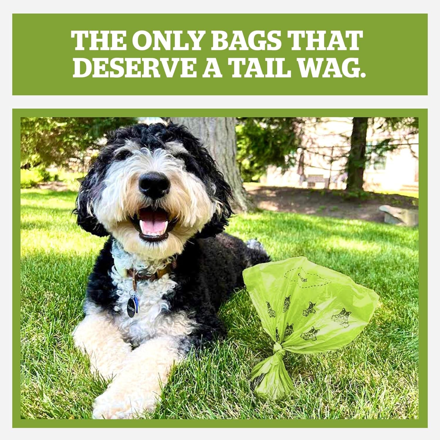 Pogi's Premium Leak-Proof Extra Thick Dog Waste Bags (Unscented, 30 Rolls, 450 Count)