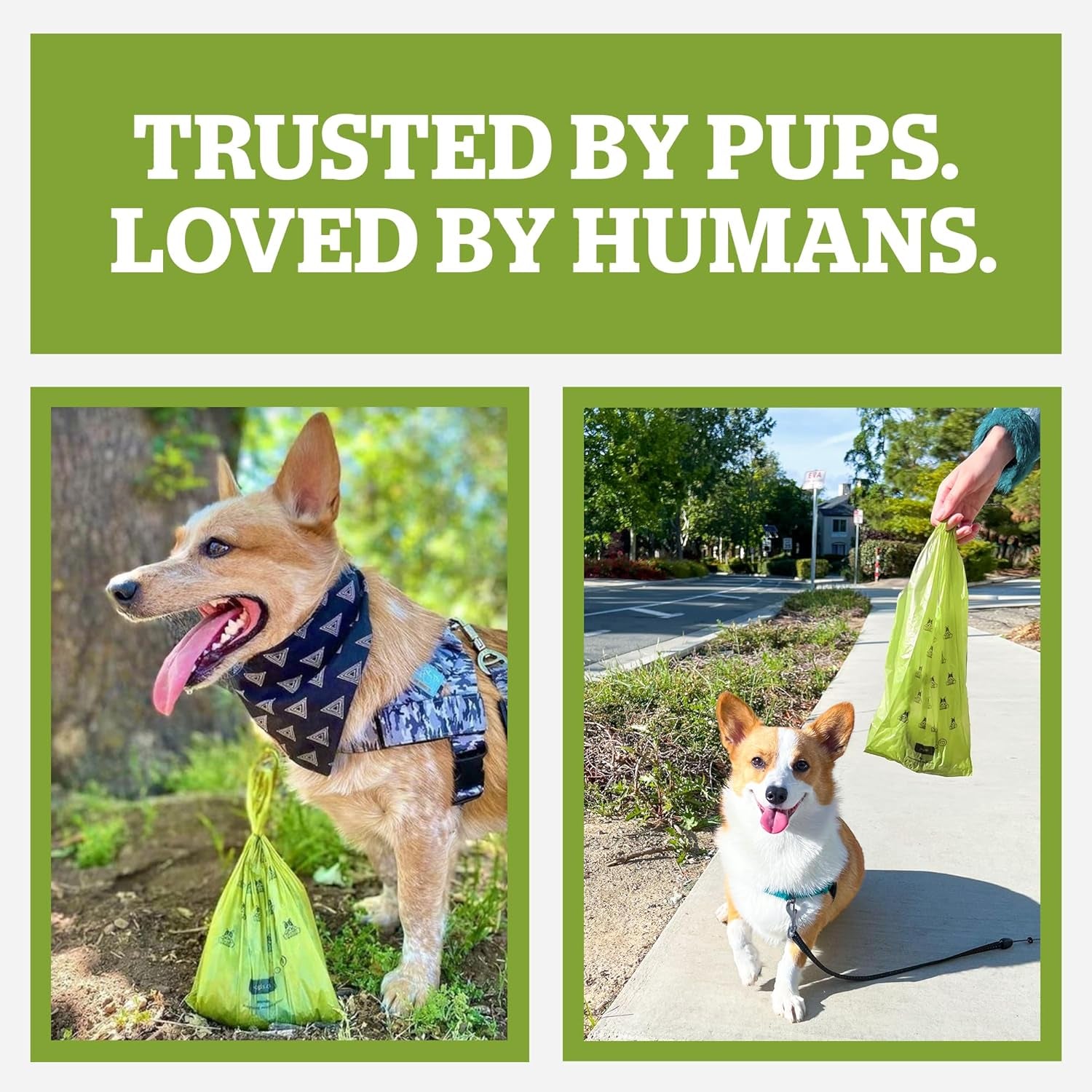 Pogi's Premium Leak-Proof Extra Thick Dog Waste Bags (Unscented, 30 Rolls, 450 Count)
