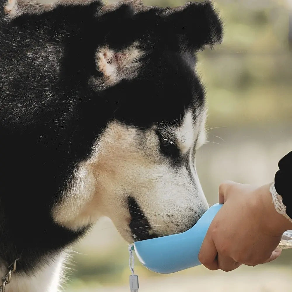 Portable Dog Water Bottle, Pet Travel Cup, Easy Feeding and Drinking, 350ML/500ML Capacity, Plastic Portable Water Bottle